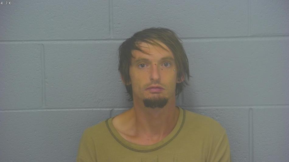 Arrest photo of JAMIE PEPPEL