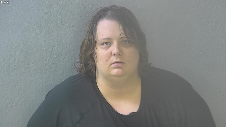 Arrest photo of JAMIE COOK