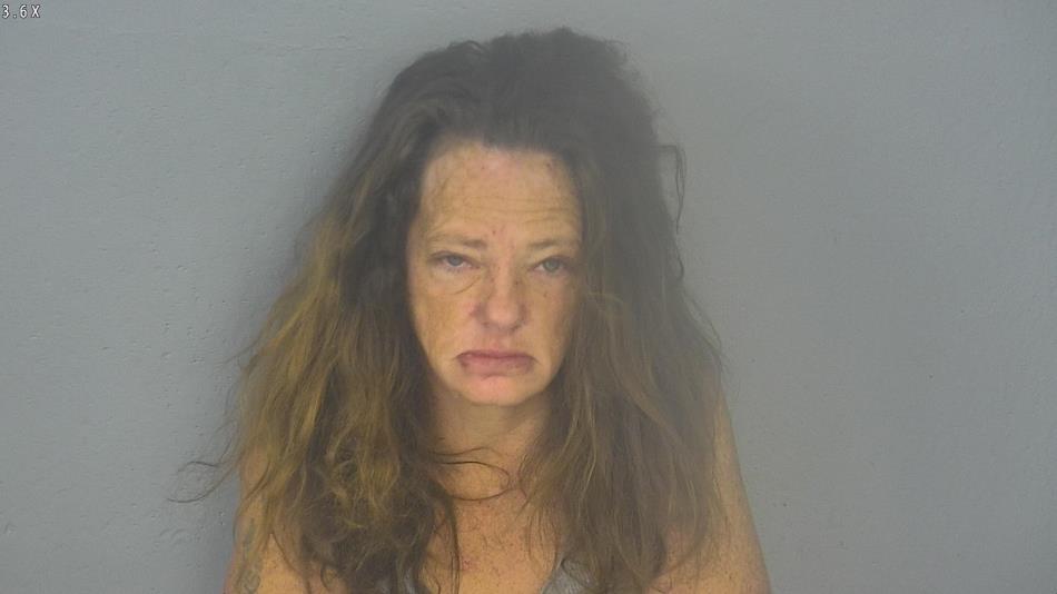 Arrest photo of JAMIE MITCHELL