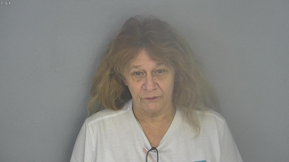 Arrest photo of JANA FORNES