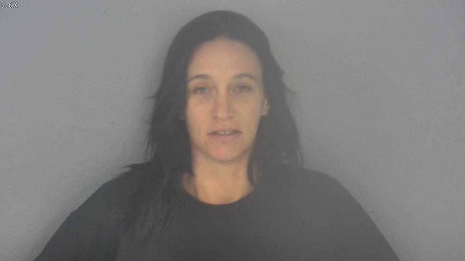 Arrest photo of JANELLE MCCLANAHAN