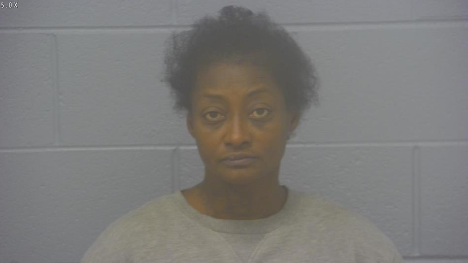 Arrest photo of JANETTE DILLARD