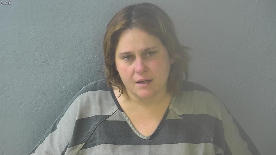 Arrest photo of JANIE JONES