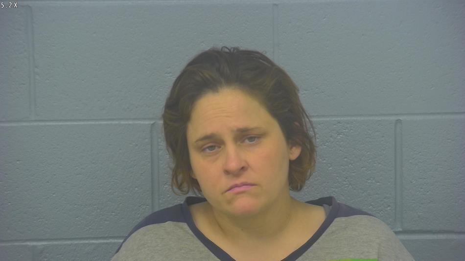 Arrest photo of JANIE JONES