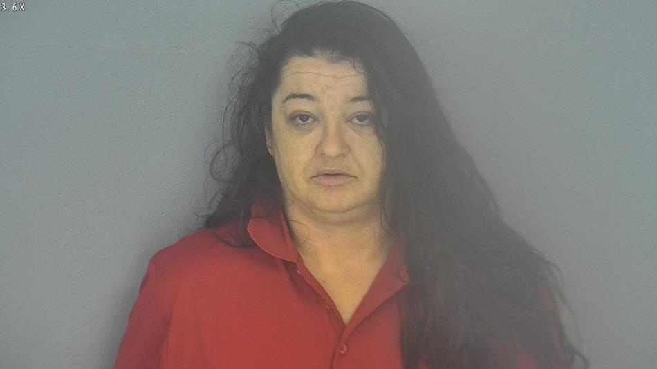 Arrest photo of JANIE NEEL