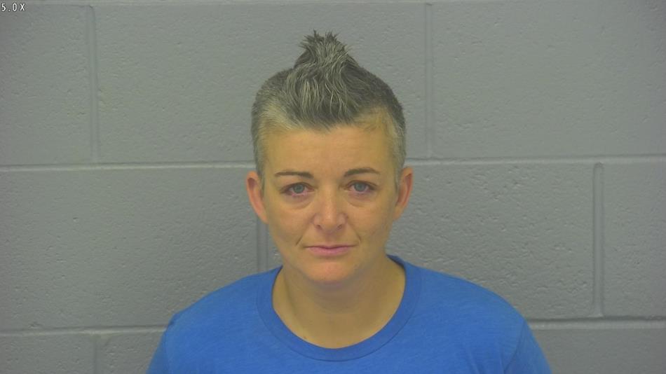 Arrest photo of JANIE SANDERS