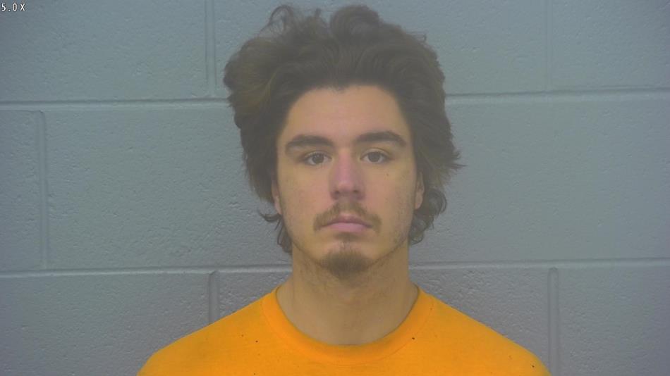 Arrest photo of JARED NAVE