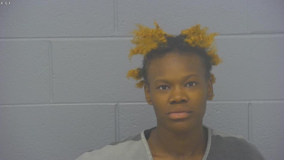 Arrest photo of JASMIN NEVILS