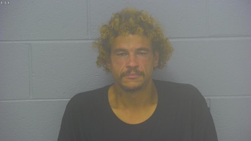 Arrest photo of JASON THOMAS