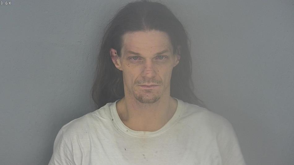 Arrest photo of JASON LARSON