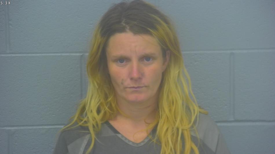 Arrest Photo of JEANETTE HOWELL, arrested on 7/2/2024