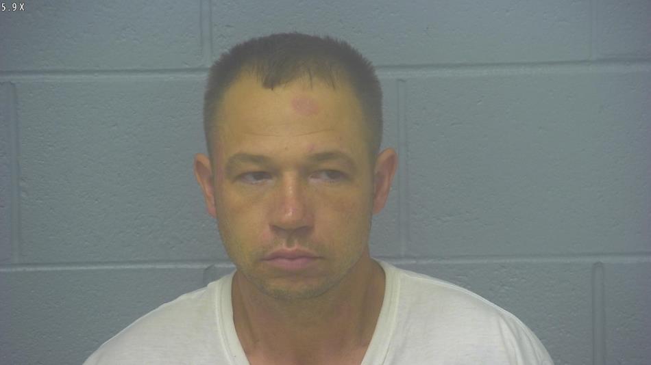 Arrest photo of JEFFREY LEWIS