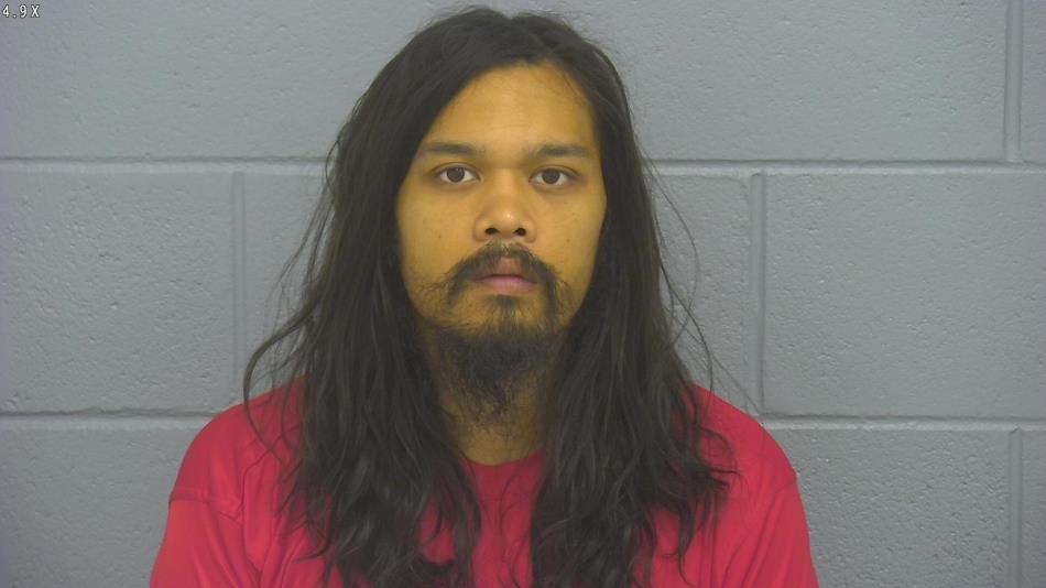 Arrest photo of JEMCER NELSON