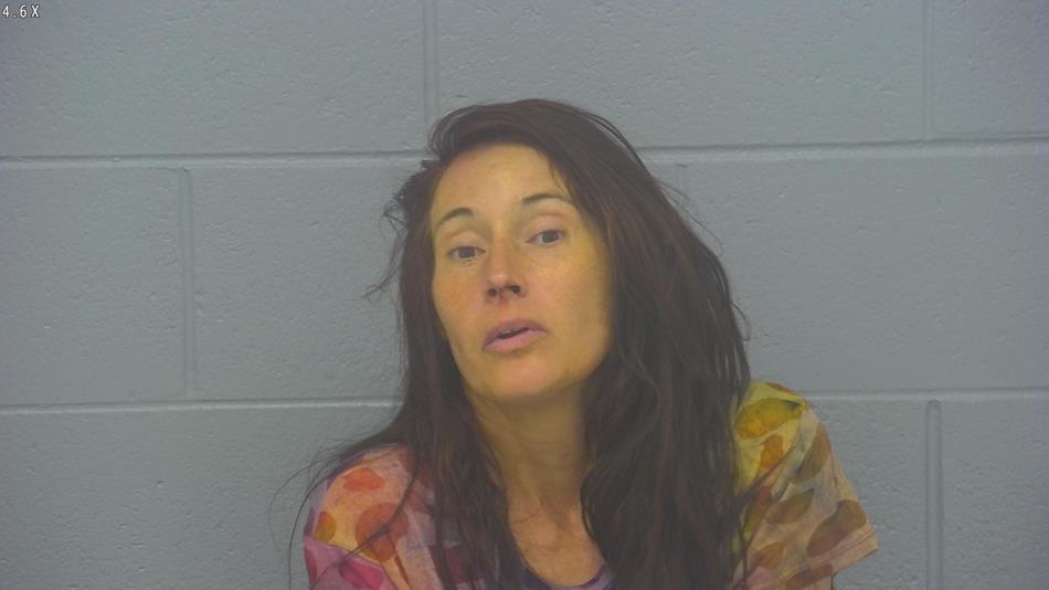 Arrest photo of JENNIFER STOOPS