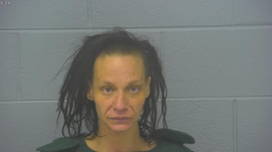 Arrest photo of JENNIFER JENSEN