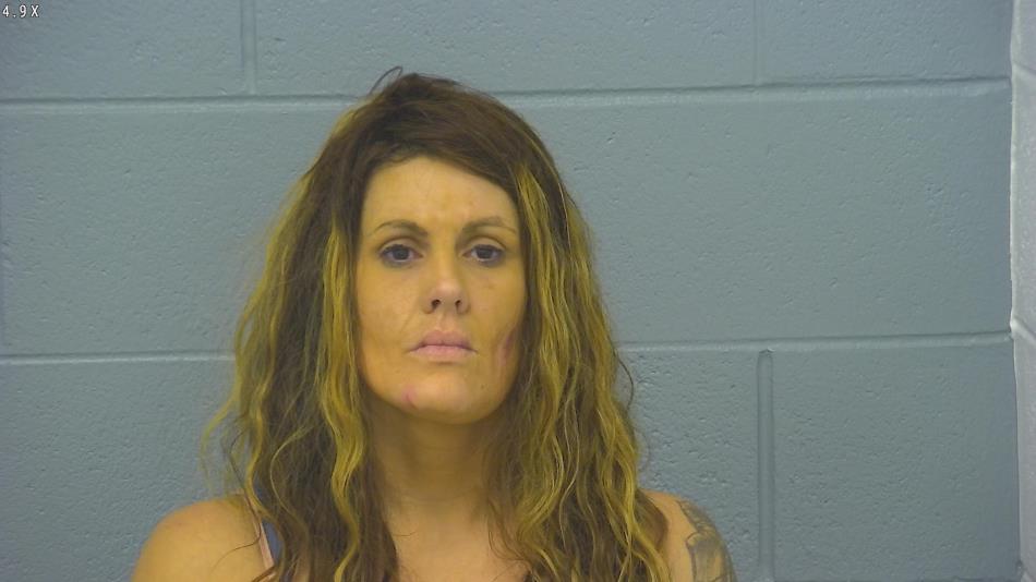 Arrest photo of JENNIFER MCCARTY