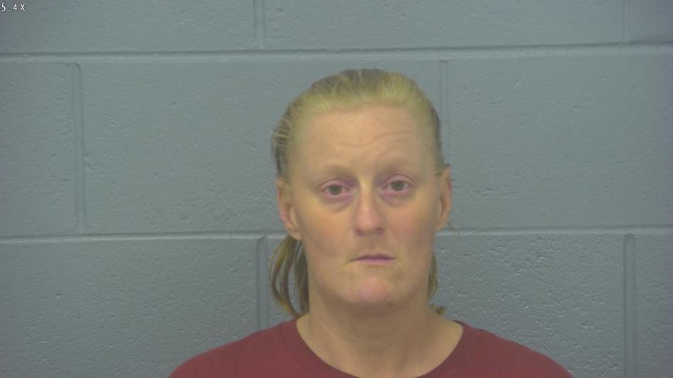 Arrest photo of JENNIFER COLLIER