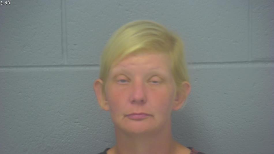 Arrest photo of JENNIFER SHEPHERD