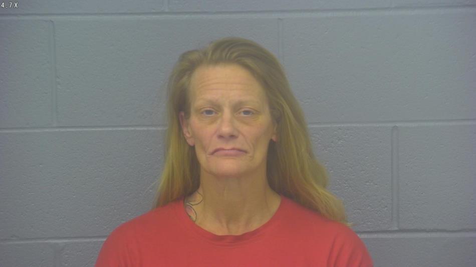 Arrest Photo of JENNIFER CUSTER, arrested on 11/27/2024