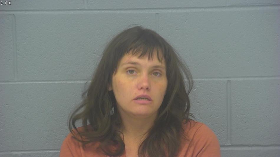 Arrest photo of JENNIFER EVANS