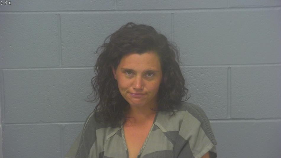 Arrest photo of JENNIFER EVANS