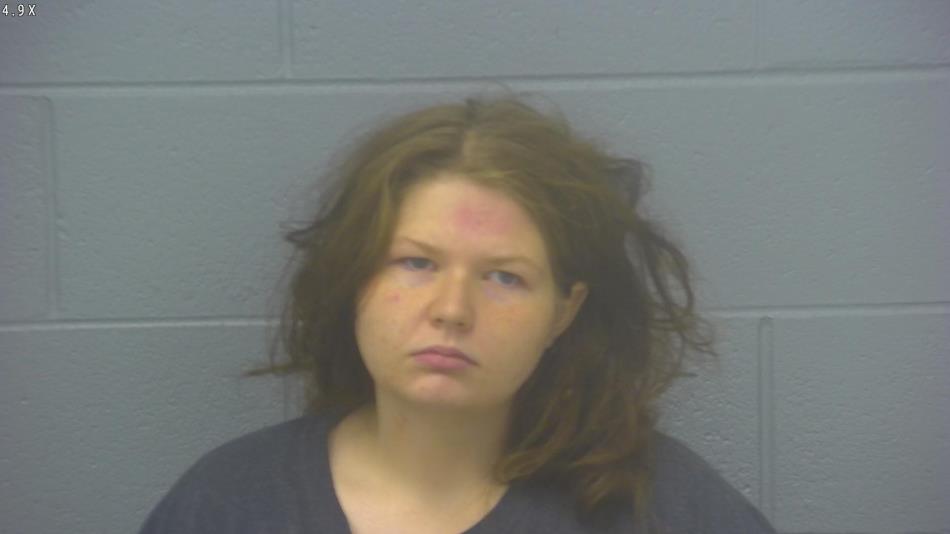 Arrest photo of JENNIFER FRIEDHOFEN