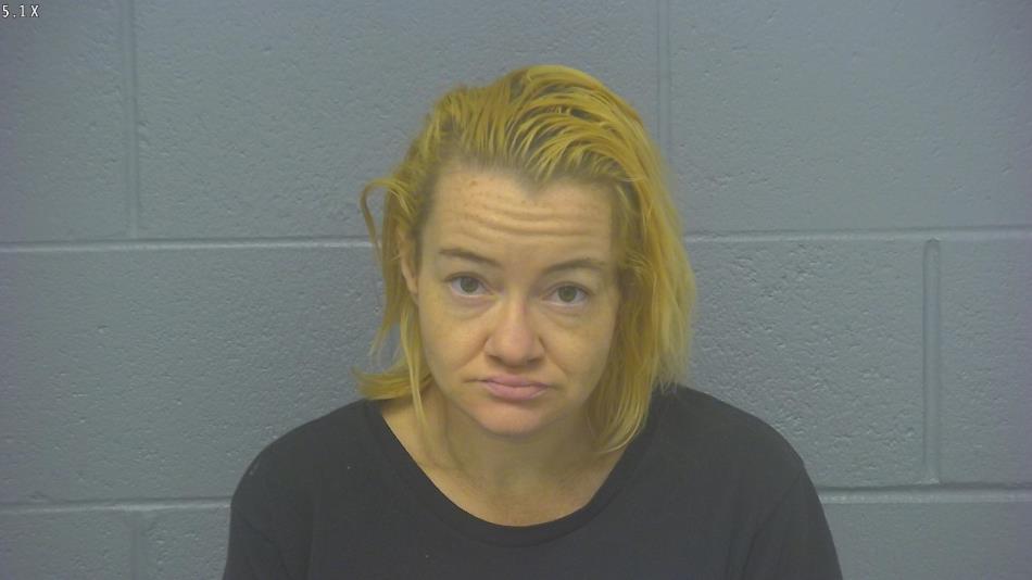 Arrest photo of JENNIFER WATKINS