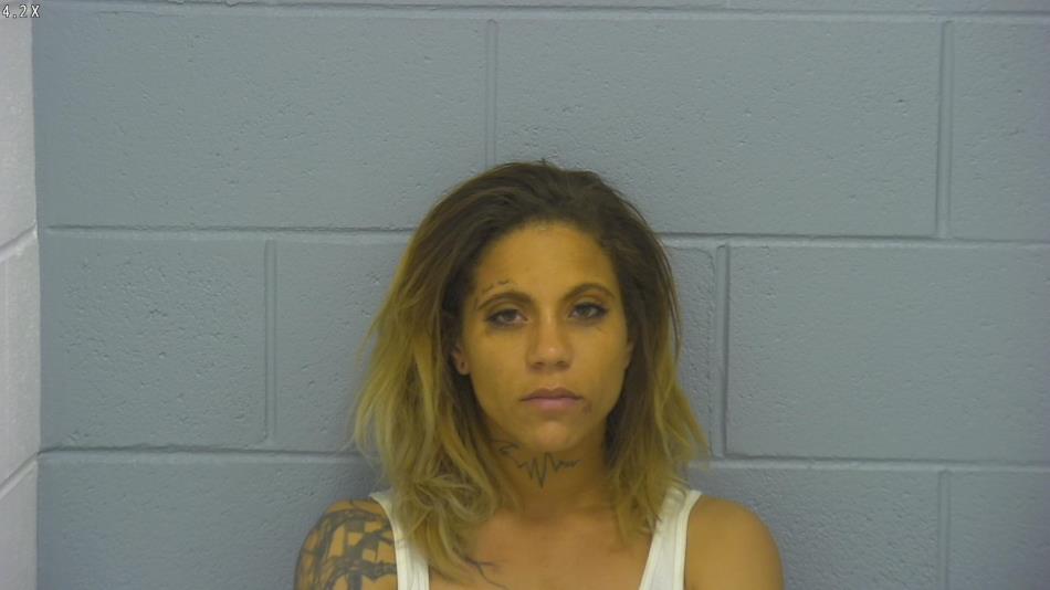 Arrest photo of JENNIFER WISEMAN