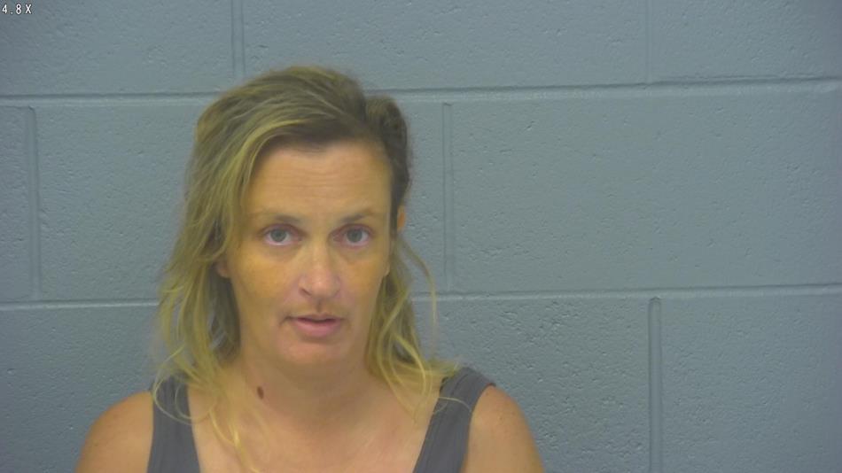 Arrest photo of JENNIFER BRONSON