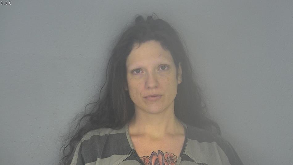Arrest photo of JENNIFER MCCANN