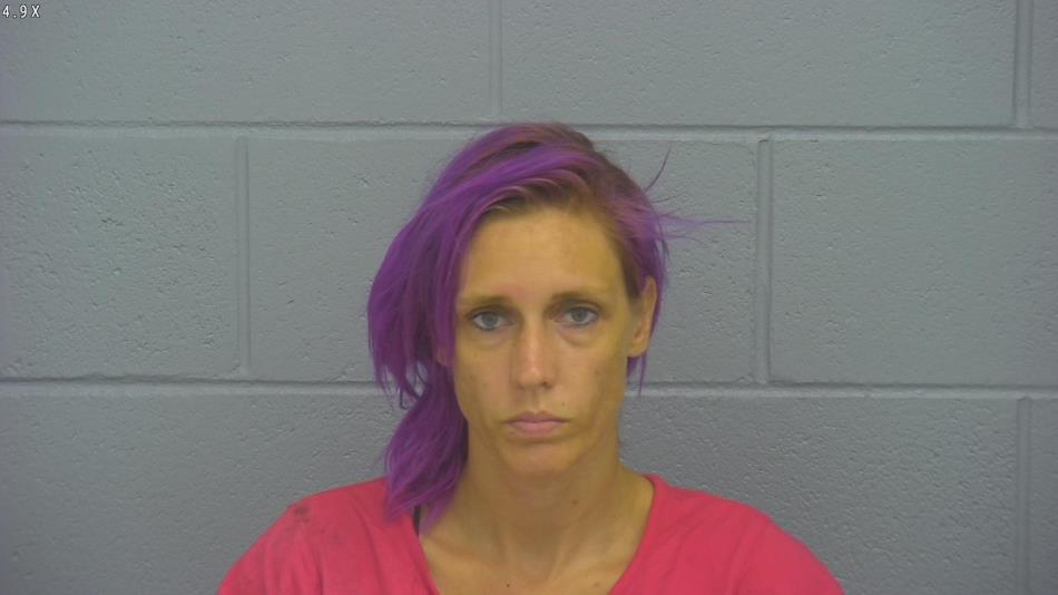 Arrest photo of JENNINE MCGUIRE