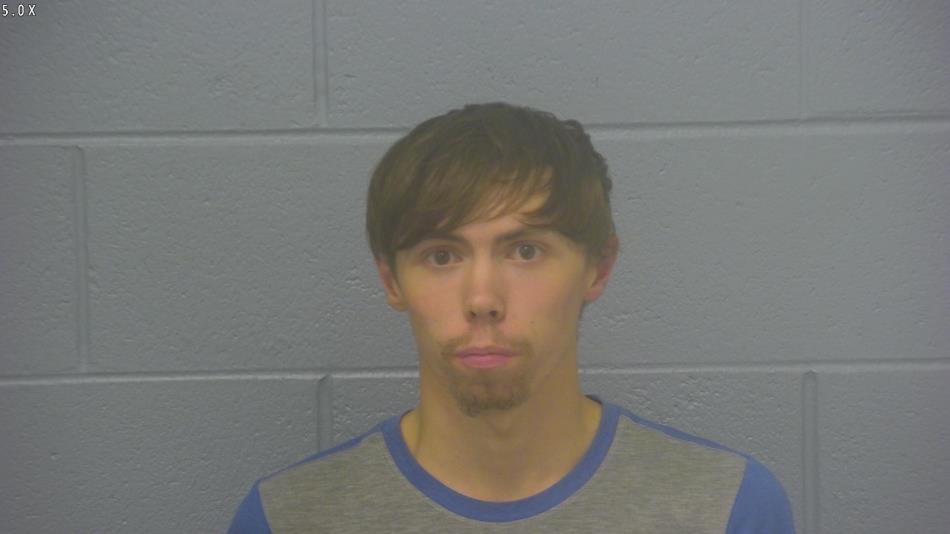 Arrest photo of JERRIN LEE