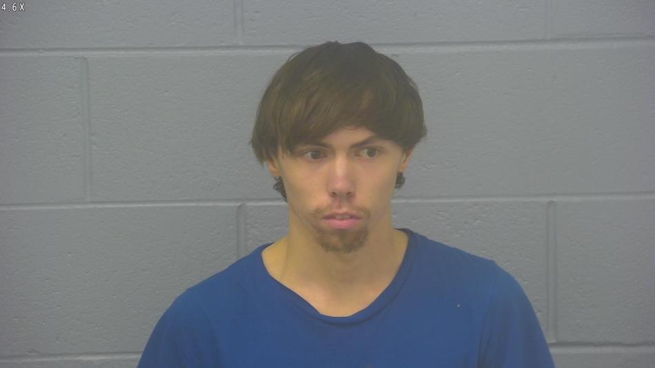 Arrest photo of JERRIN LEE