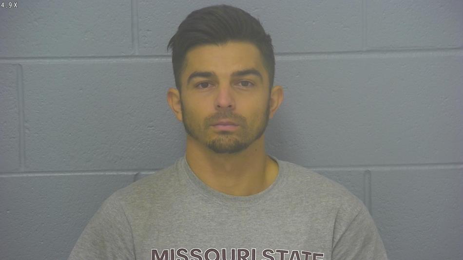 Arrest photo of JESSE FLICK