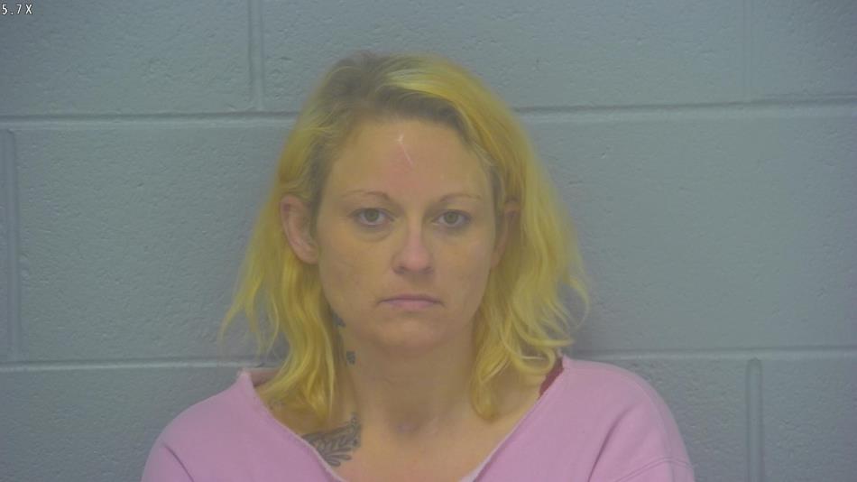 Arrest photo of JESSICA LAMBERT