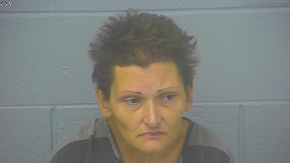 Arrest photo of JESSICA DUTCH