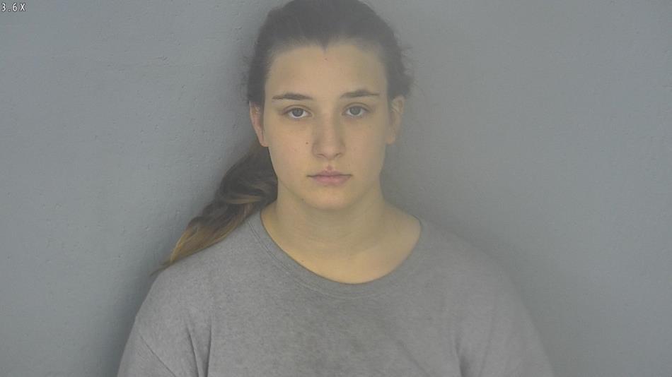 Arrest photo of JESSICA LOVELESS