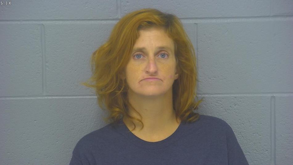 Arrest photo of JESSICA CURTIS