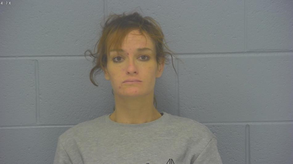 Arrest photo of JESSICA MITCHELL