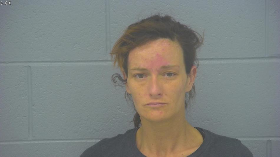 Arrest photo of JESSICA MITCHELL