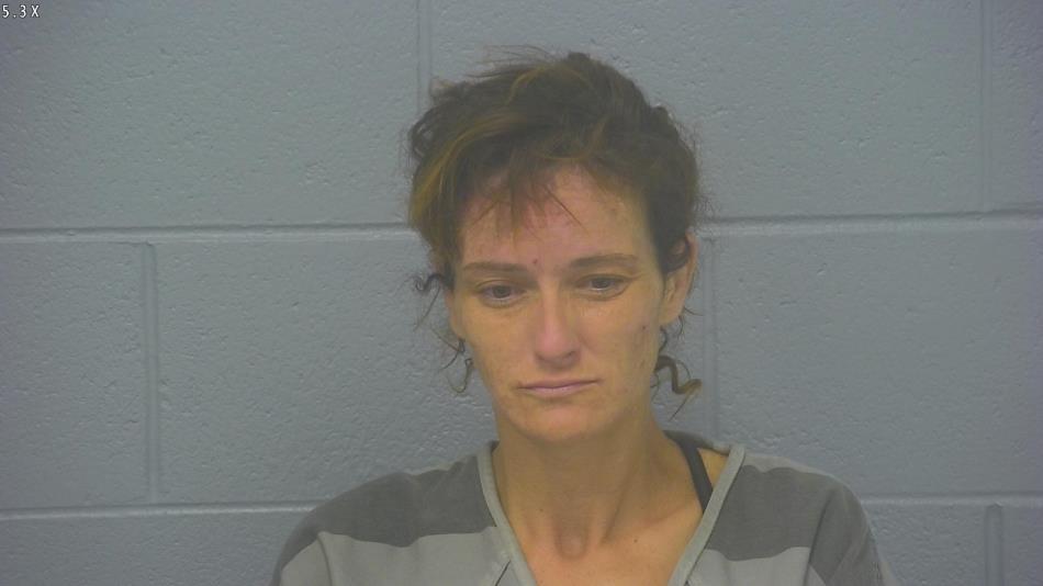 Arrest photo of JESSICA MITCHELL