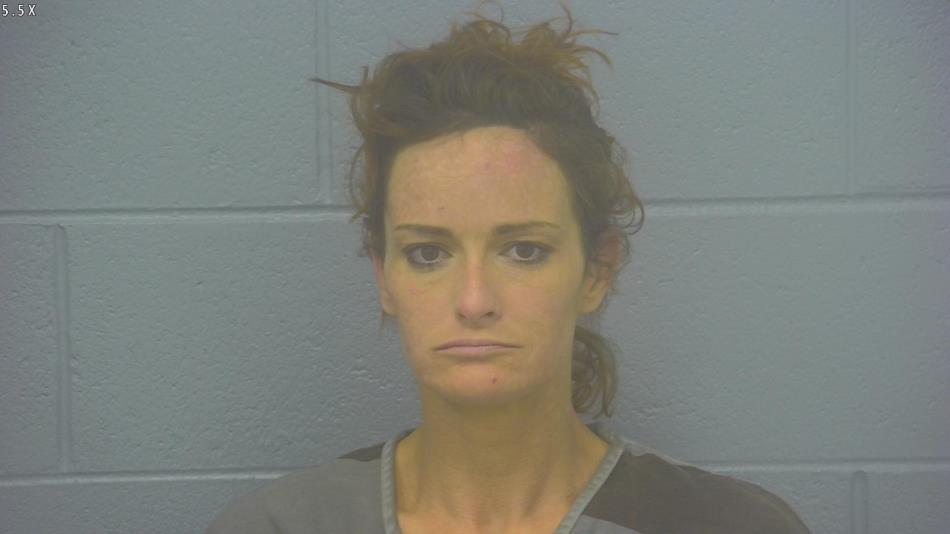 Arrest photo of JESSICA MITCHELL