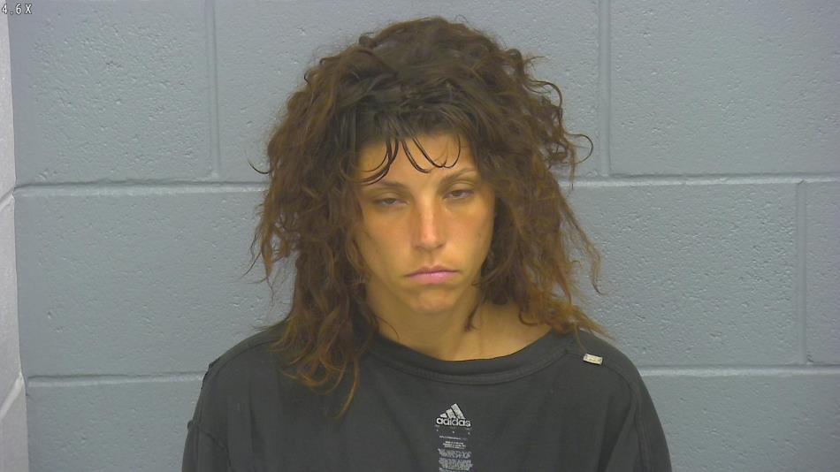 Arrest photo of JESSICA LANE