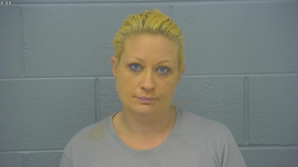 Arrest photo of JESSICA HUMMERT