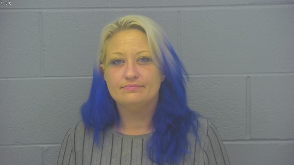 Arrest photo of JESSICA HUMMERT