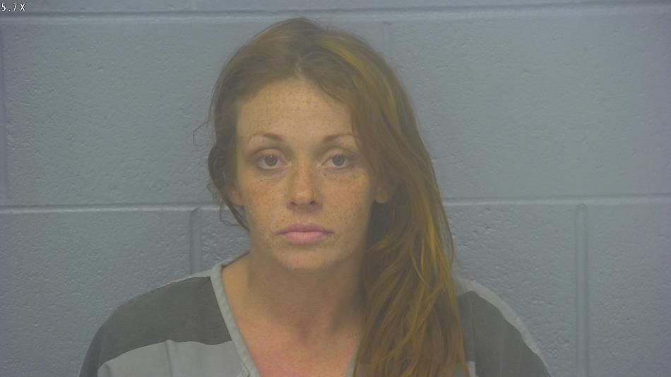 Arrest photo of JESSICA BOYD