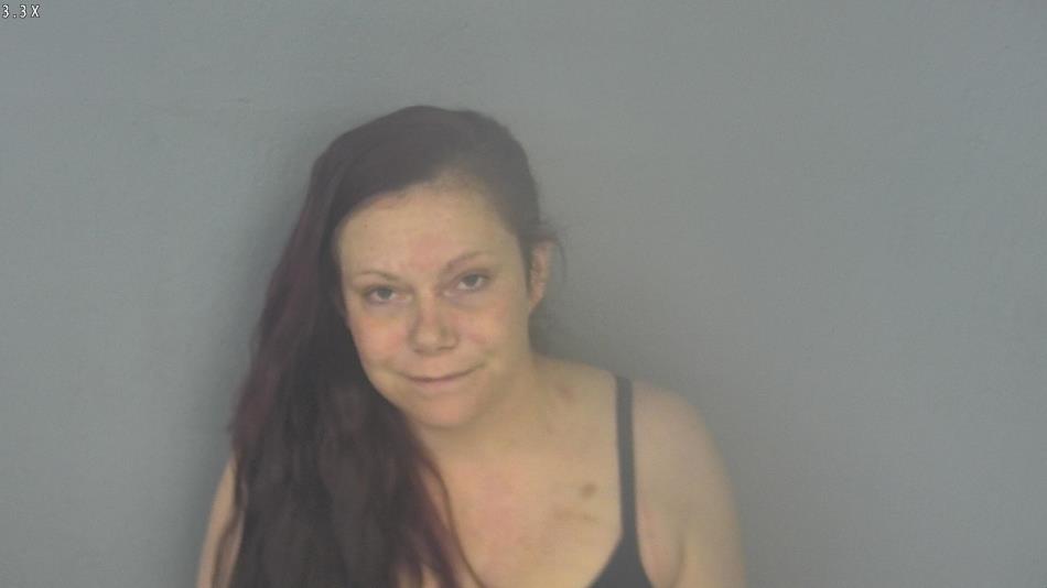 Arrest photo of JESSICA WILSON