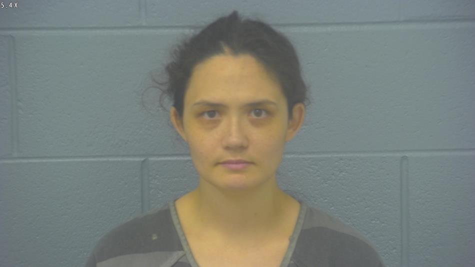 Arrest photo of JESSICA PETERS