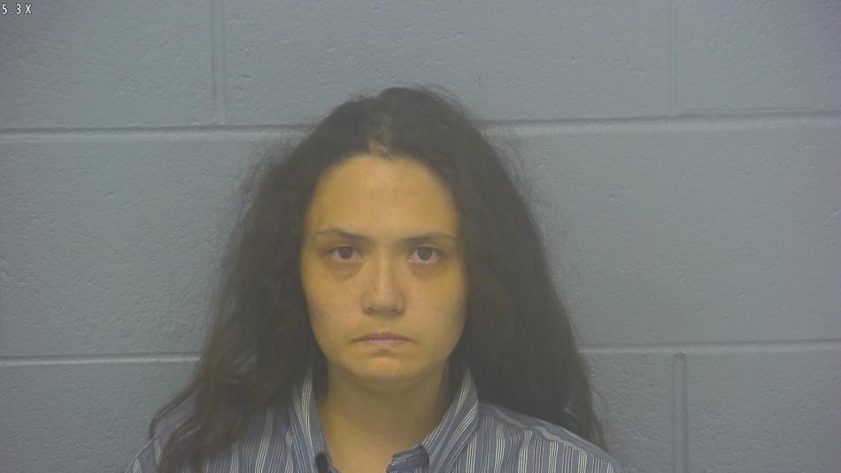 Arrest photo of JESSICA PETERS