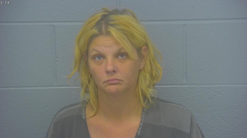 Arrest Photo of JESSICA MCCABE, arrested on 5/15/2024